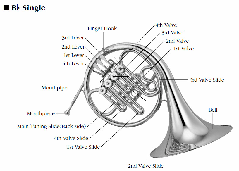 French Horn Trigger Finger Chart