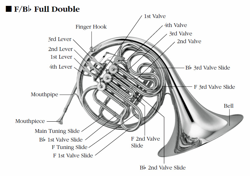 difference between single and double french horn