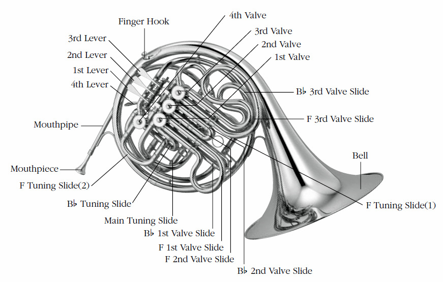 difference between single and double french horn